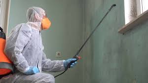 Why You Should Choose Our Mold Remediation Services in Mcgregor, TX